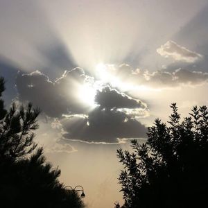 Meet your Posher, Barry